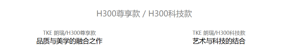 TKE蒂升H300尊享款 / H300科技款